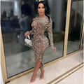 Sexy Sexy Leopard Lace-Up Full Sleeve Long Dress