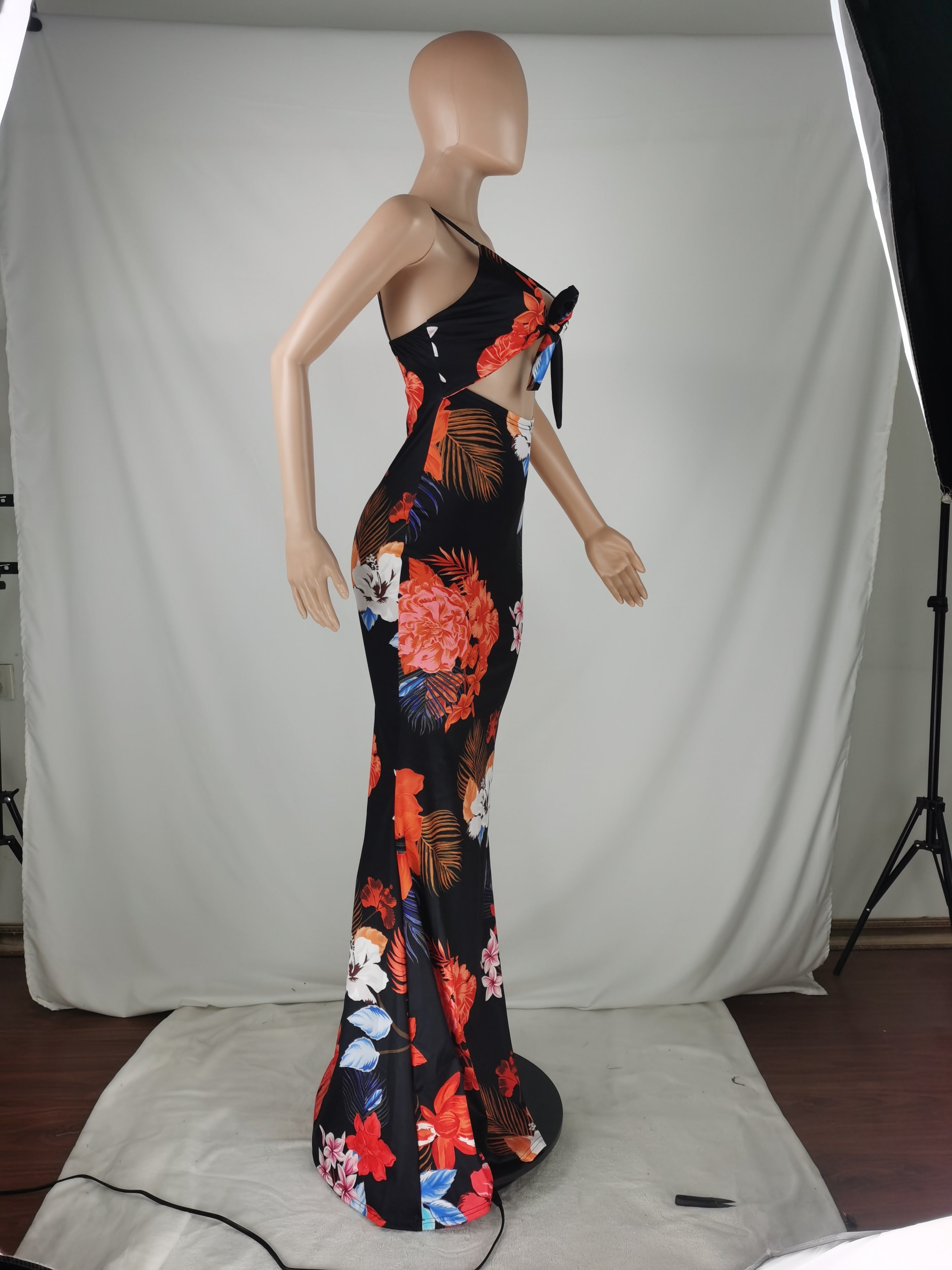 Sexy Plus Size Floral Print Sling Maxi Dress